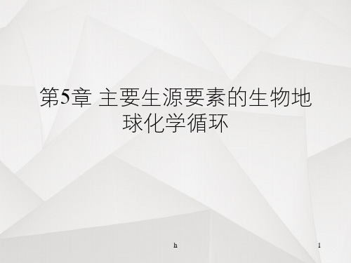 第5章 主要生源要素的生物地球化学循环