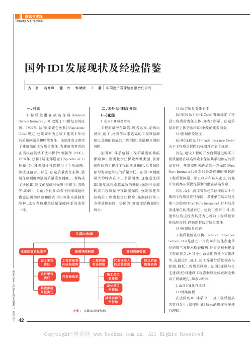 国外IDI发展现状及经验借鉴