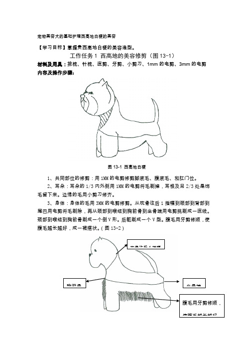 宠物美容犬的基础护理西高地白梗的美容