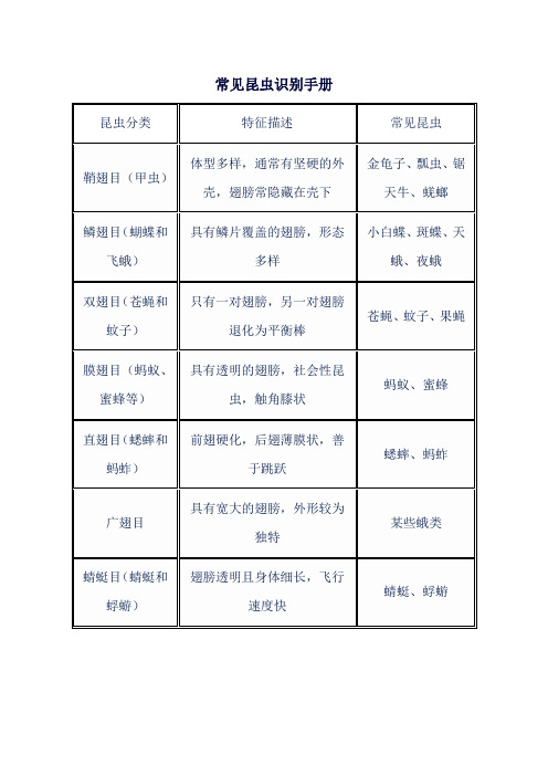 常见昆虫识别手册