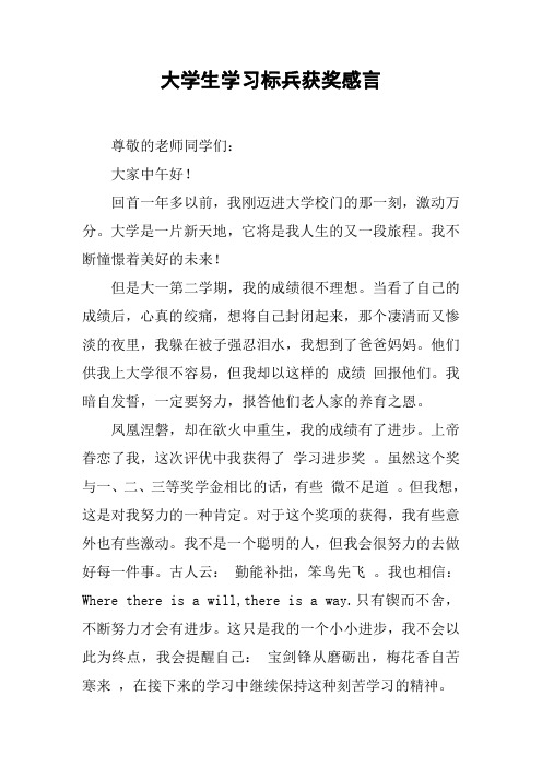 大学生学习标兵获奖感言