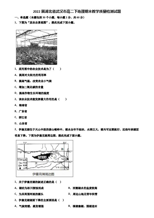 2022届湖北省武汉市高二下地理期末教学质量检测试题含解析