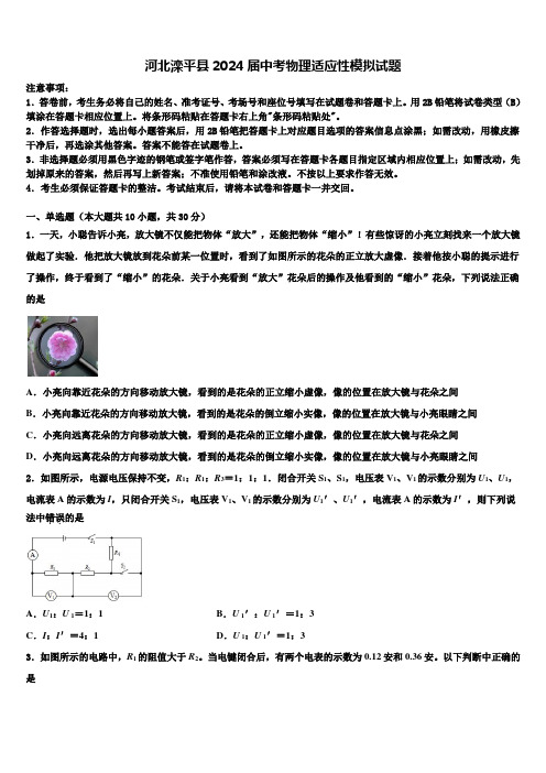 河北滦平县2024届中考物理适应性模拟试题含解析