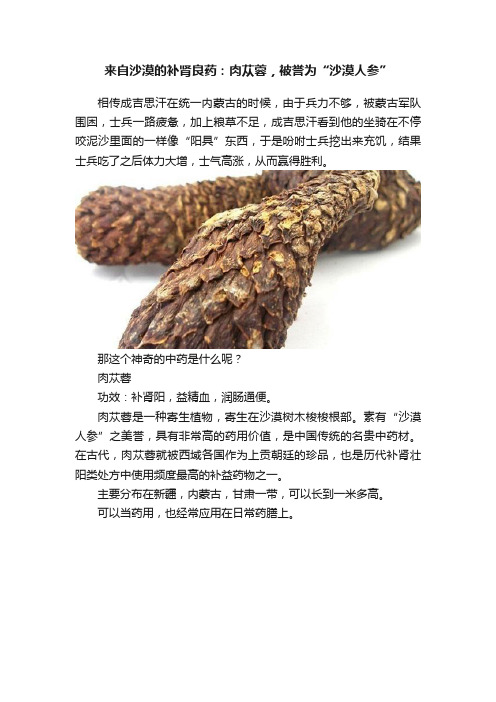 来自沙漠的补肾良药：肉苁蓉，被誉为“沙漠人参”