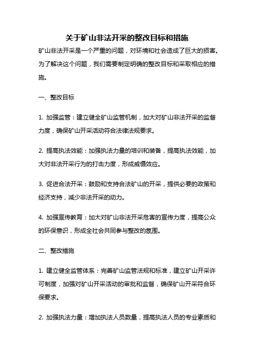 关于矿山非法开采的整改目标和措施