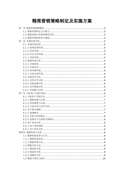 精准营销策略制定及实施方案