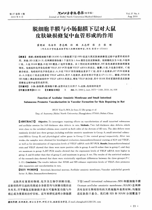 脱细胞羊膜与小肠黏膜下层对大鼠皮肤缺损修复中血管形成的作用