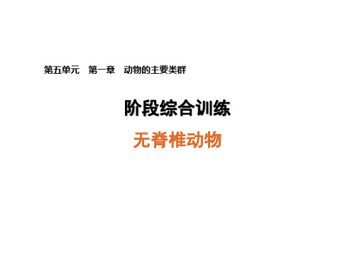 人教版生物八年级第5单元生物圈中的其他生物第1章 动物的主要类群巩固习题