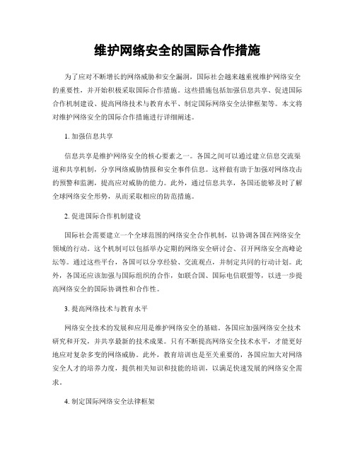 维护网络安全的国际合作措施