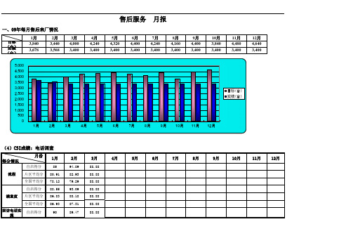 售后服务月报表格