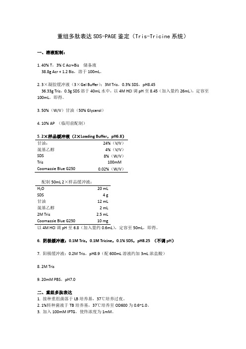 重组多肽表达SDS-PAGE电泳鉴定(Tris-Tricine系统)