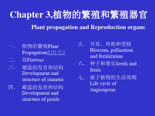 植物学课件：Chapter 3 植物的繁殖和繁殖器官