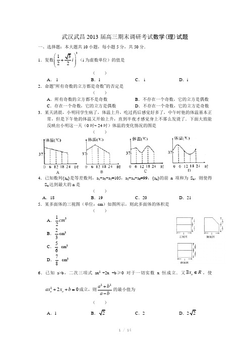 湖北武汉武昌区2013届高三期末调研考试数学(理)