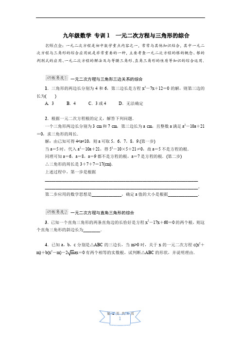 九年级数学 专训1 一元二次方程与三角形的综合