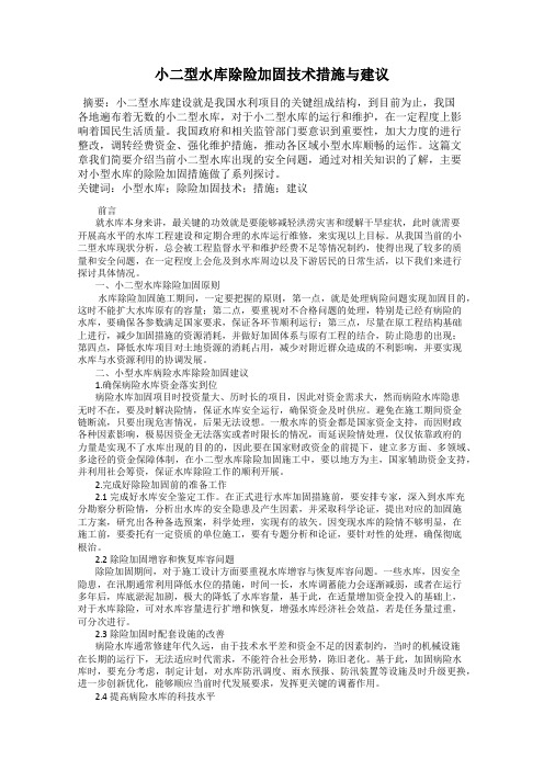 小二型水库除险加固技术措施与建议