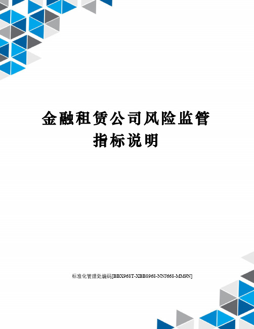 金融租赁公司风险监管指标说明完整版