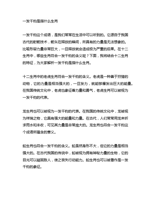 一发千钧是指什么生肖,词语精选落实