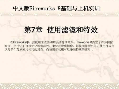 Fireworks 8 教程第07章  使用滤镜和特效