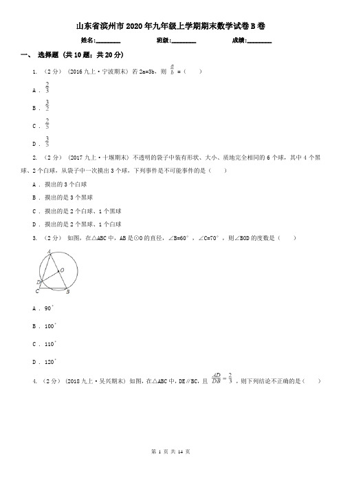 山东省滨州市2020年九年级上学期期末数学试卷B卷