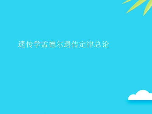 遗传学孟德尔遗传定律总论优质PPT资料