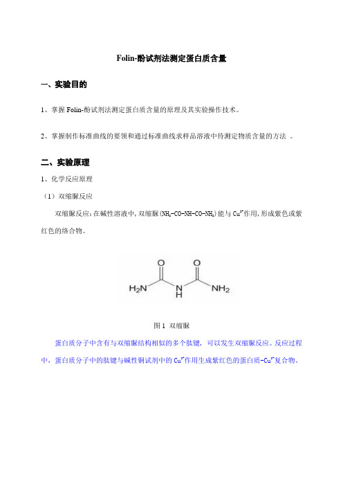 Folin-酚试剂法测定蛋白质含量