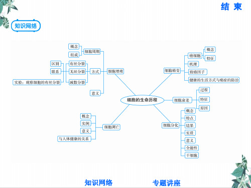 4章细胞的生命历程单元总结教学课件-2021届高三高考生物一轮复习考点突破