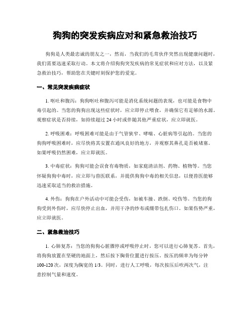 狗狗的突发疾病应对和紧急救治技巧