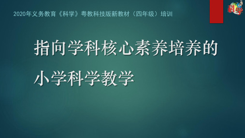 粤教粤科版科学四年级上册 专题讲座：指向学科核心素养培养的小学科学教学 培训课件