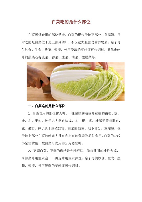 白菜吃的是什么部位