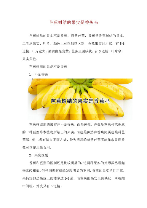 芭蕉树结的果实是香蕉吗