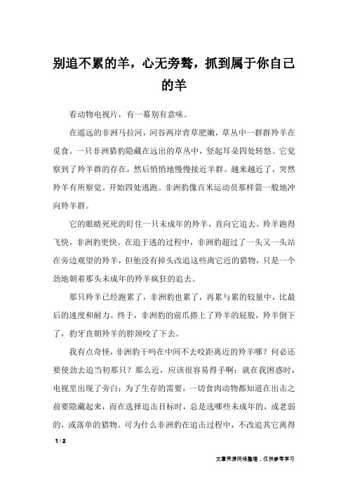 别追不累的羊,心无旁骜,抓到属于你自己的羊_初中作文