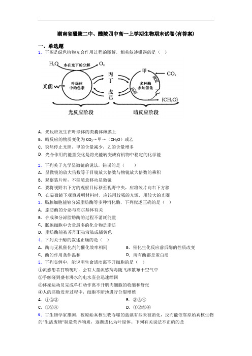 湖南省醴陵二中、醴陵四中高一上学期生物期末试卷(有答案)