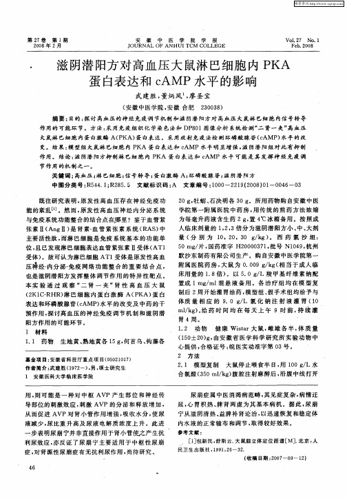 滋阴潜阳方对高血压大鼠淋巴细胞内PKA蛋白表达和cAMP水平的影响