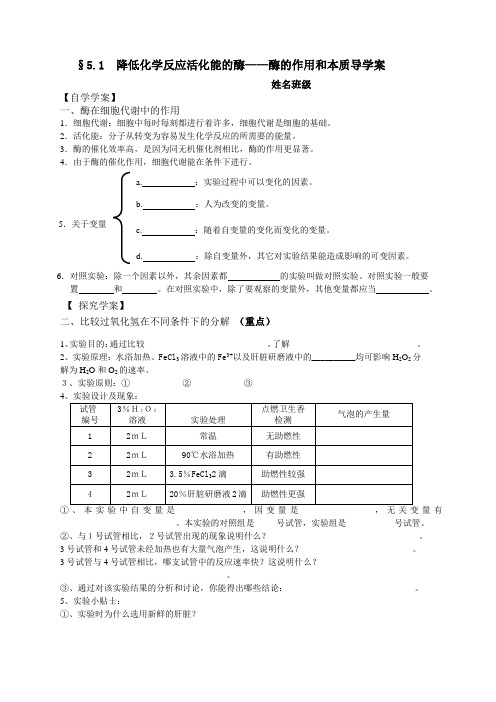 公开课《降低化学反应活化能的酶》导学案