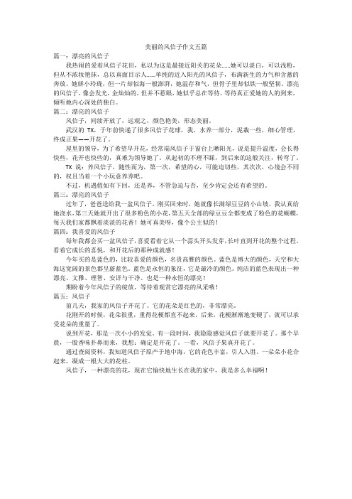 美丽的风信子作文五篇