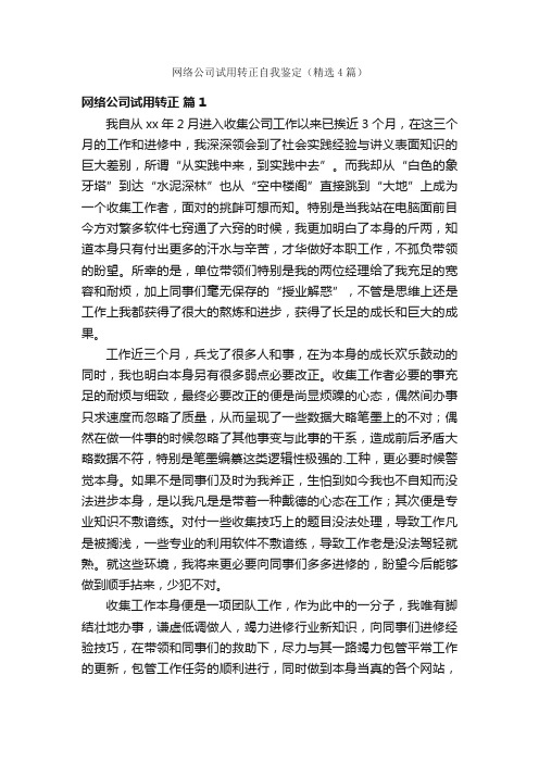 网络公司试用转正自我鉴定（精选4篇）