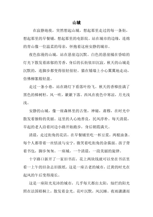 最新山城 读后感随笔