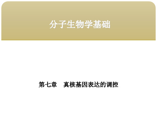 分子生物学基础第七章真核基因表达的调控第三节真核基因表达转录水平的调控