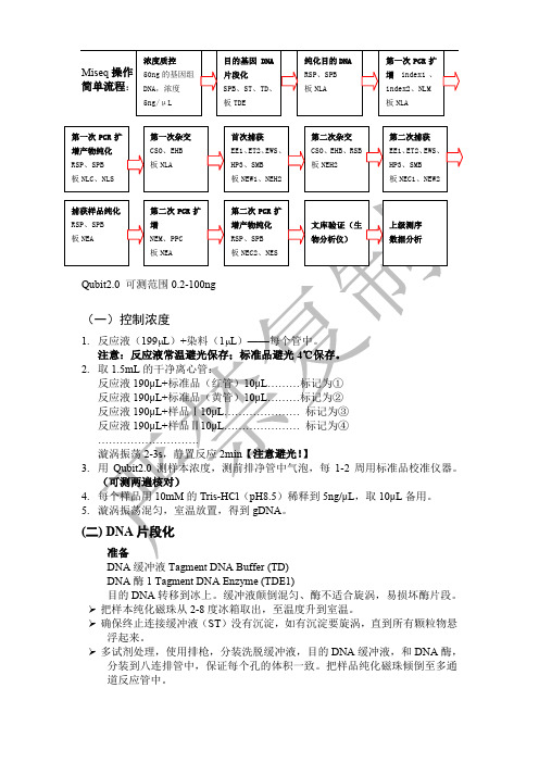 Miseq标准化操作指南中文翻译版