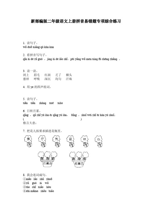 新部编版二年级语文上册拼音易错题专项综合练习