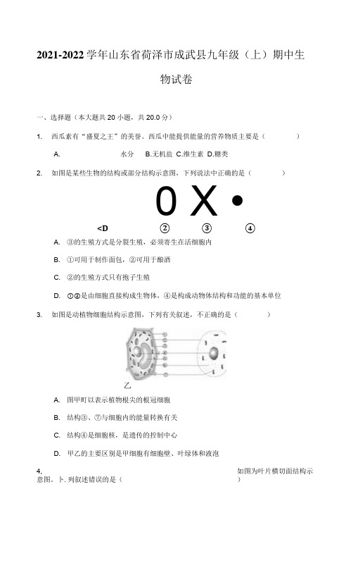 2021-2022学年山东省菏泽市成武县九年级(上)期中生物试卷(附详解)