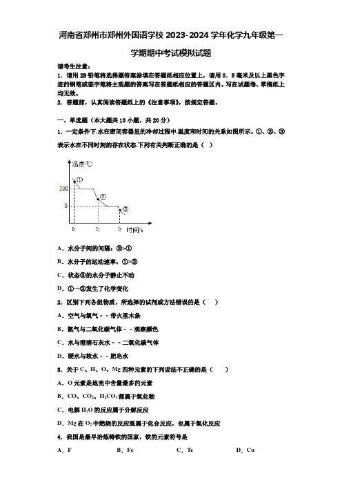 河南省郑州市郑州外国语学校2023-2024学年化学九年级第一学期期中考试模拟试题含解析