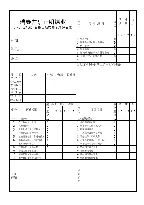 煤矿安全版评估表格