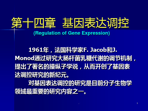 生物化学——基因表达调控