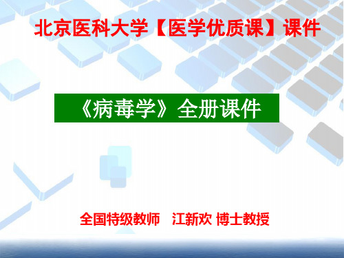 医科大学专业课程《病毒学》全册课件-教授主讲优质课件