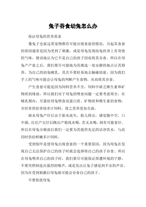 兔子吞食幼兔怎么办