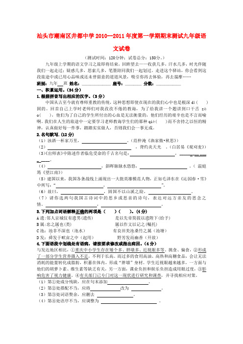 #广东省汕头市潮南区井都中学2010--2011学年度九学年级语文第一学期期末考试 人教新课标版