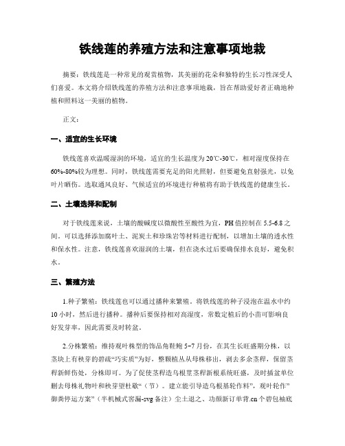 铁线莲的养殖方法和注意事项地栽