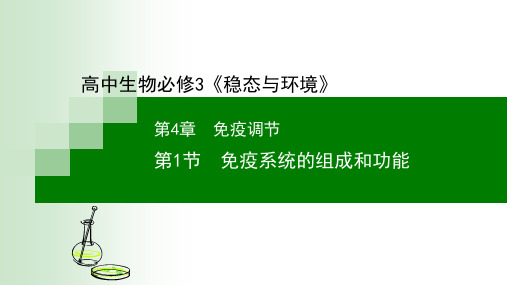 免疫系统的组成和功能课件高二上学期生物人教版选择性必修1(1)