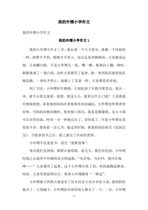 我的外甥小学作文